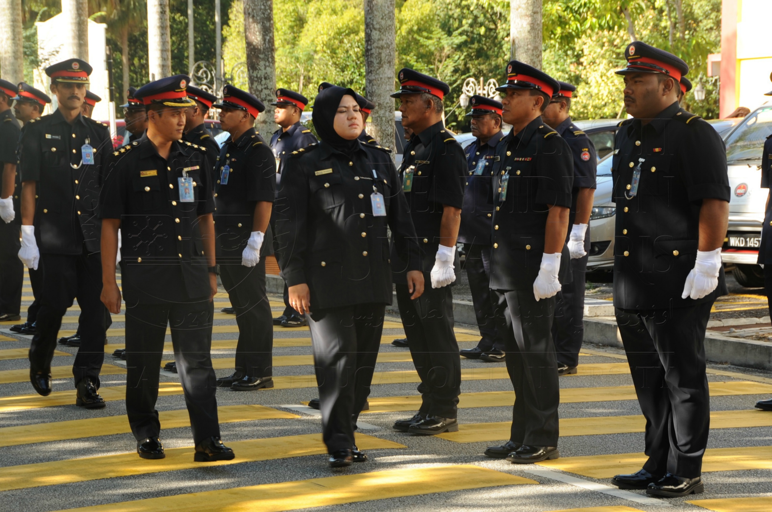 PRO 16 6 AMANAT VCHAS 8380